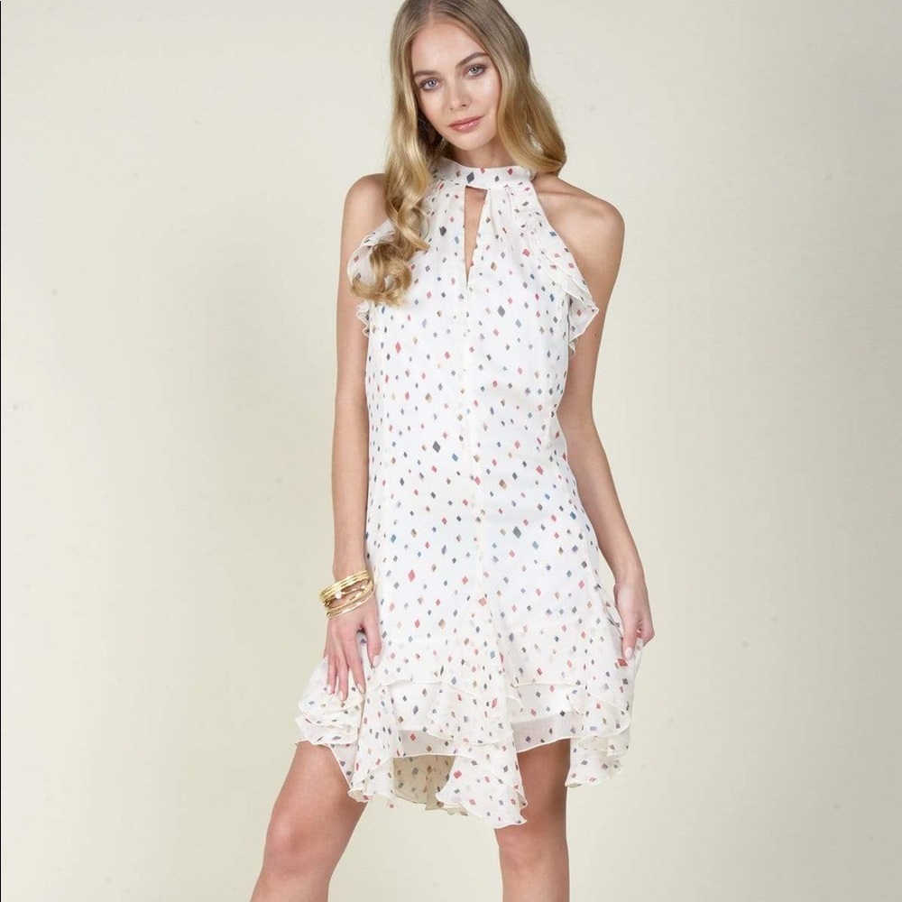 Eva Franco Greda Chiffon Dress in Funfetti